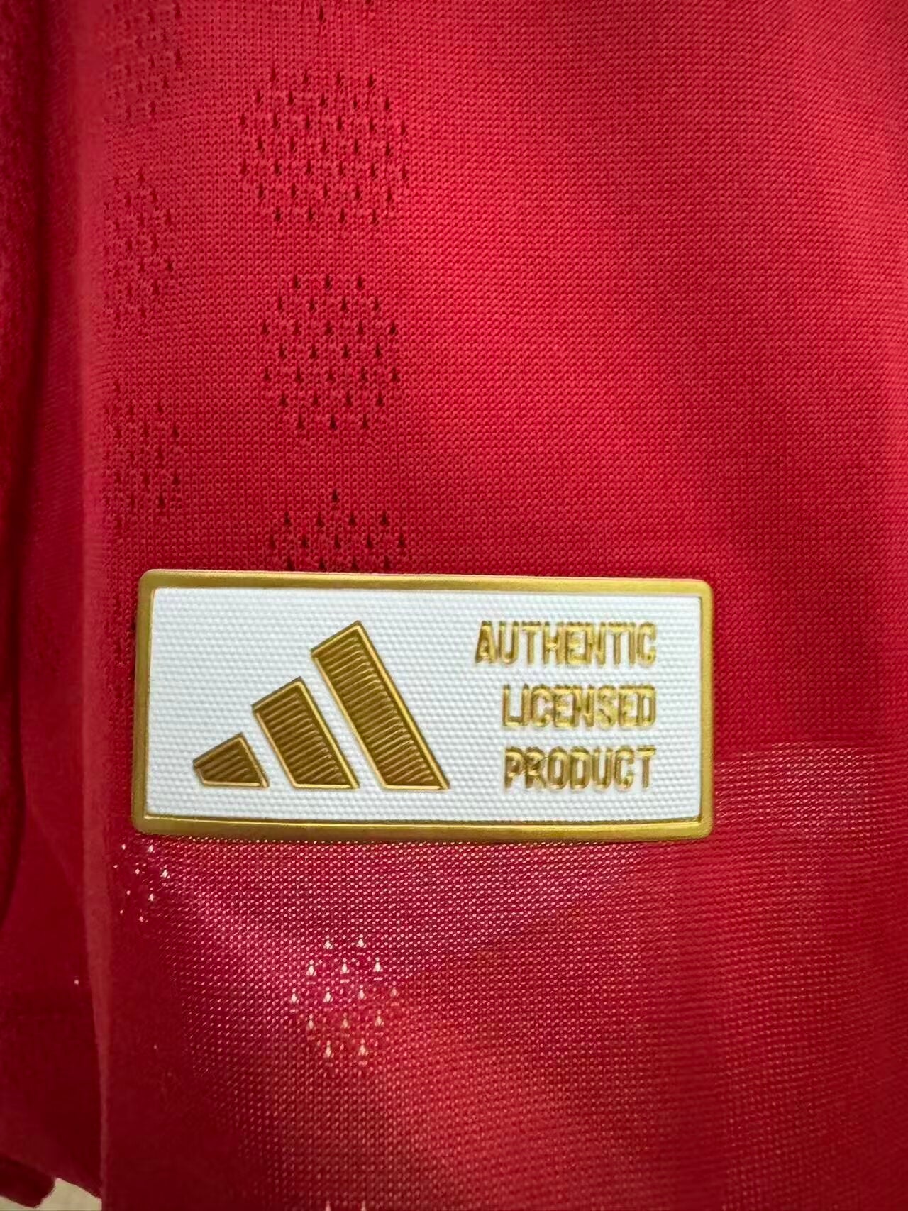 BENFICA HOME KIT 2025/26 PLAYER VERSION