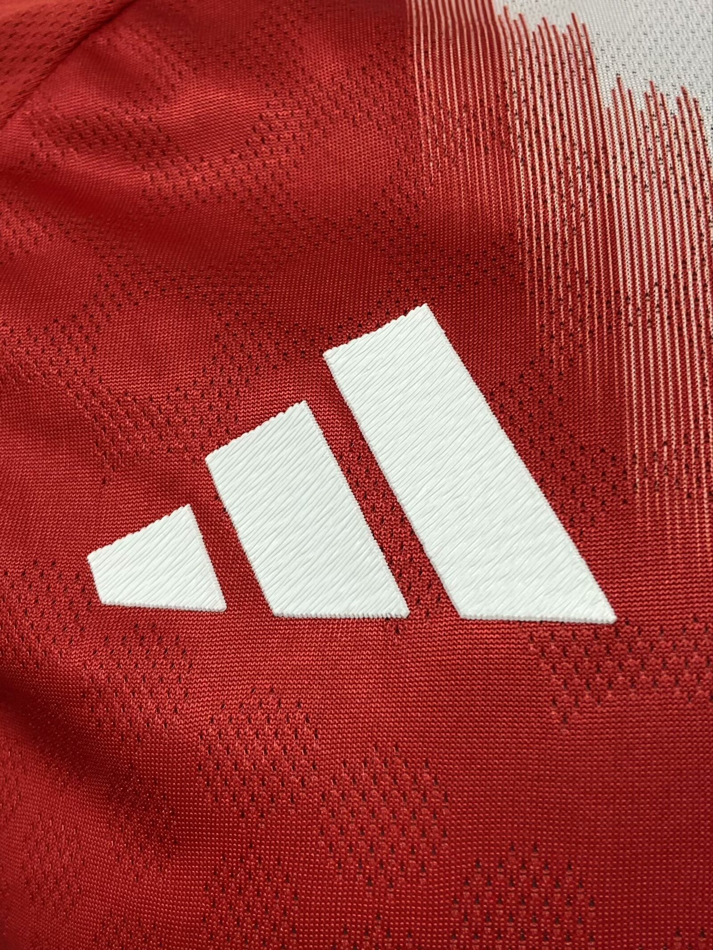 BAYERN MUNCHEN HOME KIT 25/26 PLAYER VERSION