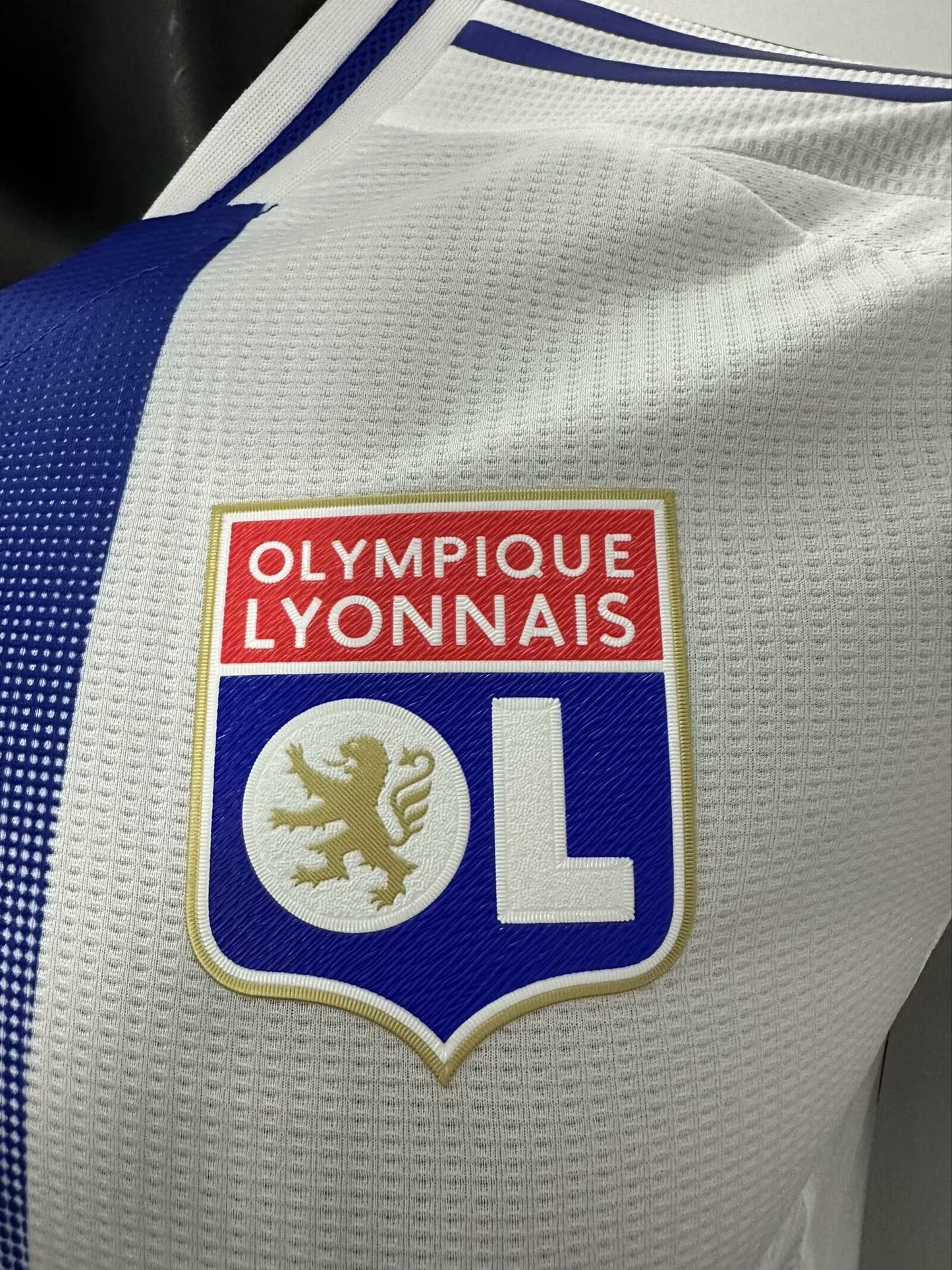 LYON HOME KIT 24/25 PLAYER VERSION